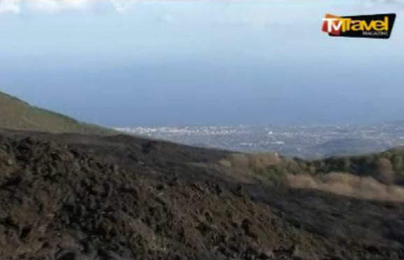 TV emisija 31