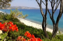 Dvorište Iris Gold-a u blizini Limenarije Tasos