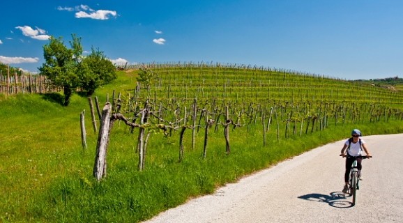 Goriška brda i Vipavska dolina predstavljeni u Beogradu