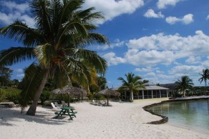 Vasi putopisi-Green Turtle Cay1