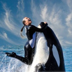 Gasi se SeaWorld u San Dijegu?