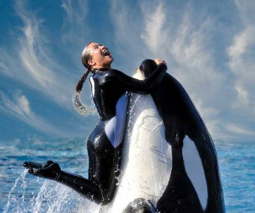 Gasi se SeaWorld u San Dijegu?