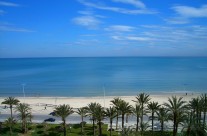 Sus, Tunis