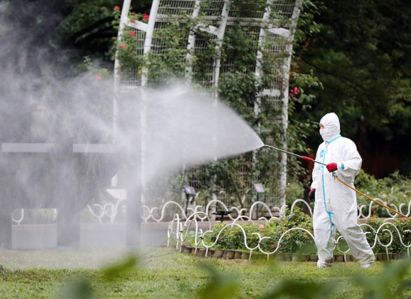 Denga groznica u Japanu