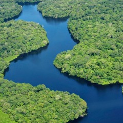 Amazon, Peru