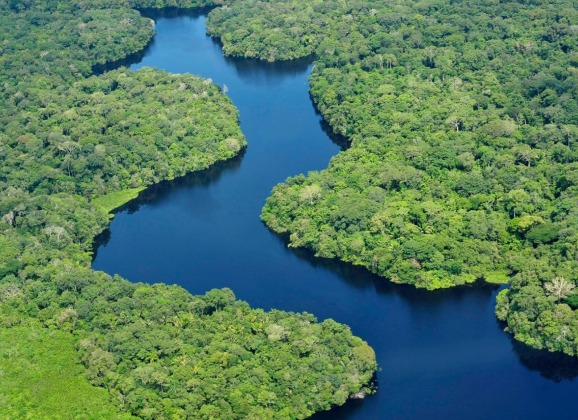Amazon, Peru