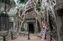 Angkor Vat, Kambodža