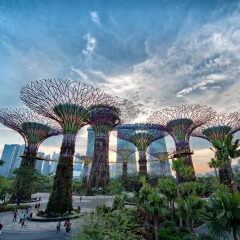 Bašta od milijardu dolara, Singapur