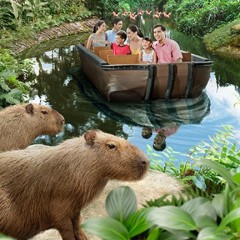 Rečni safari, Singapur