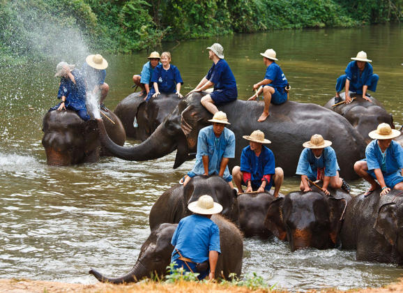 Centar za očuvanje slonova, Lampang