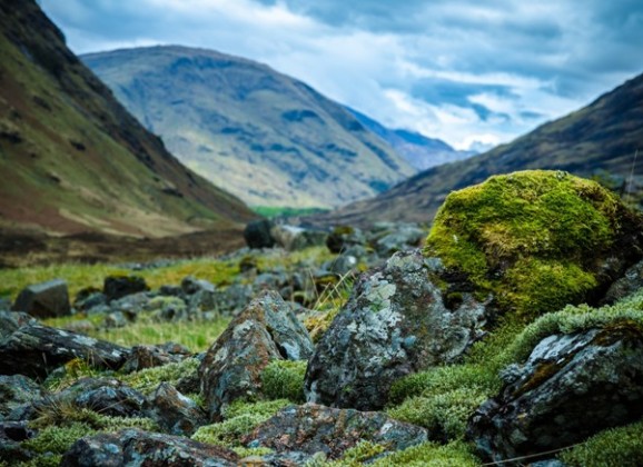 Highlands, (Hrabro) srce Škotske