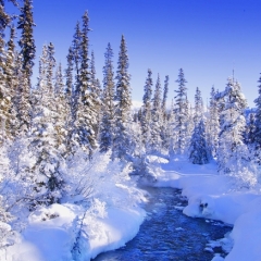 Alberta, Kanada