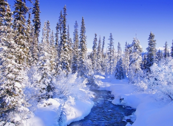 Alberta, Kanada