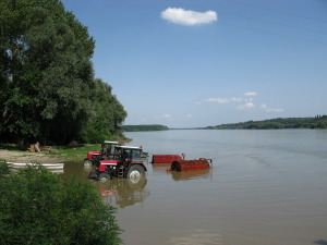 Begec peraci sargarepe