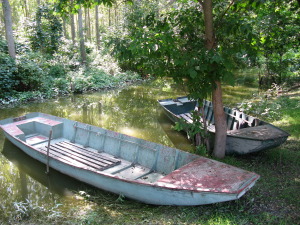 Rukavac Begecke jame