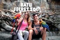 Zoološki vrt u Malangu, Indonezija
