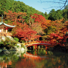 Japan – osmeh Bude pod svetlima neona