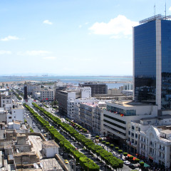 MSP poziva građane da ne putuju u Tunis