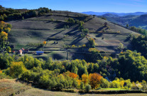 Medvednik, Srbija