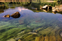 Drinski motiv, Srbija