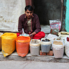 Delhi – indijska egzotika