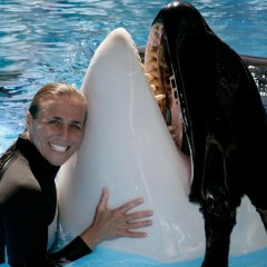 SeaWorld konačno ukida šou sa kitovima ubicama