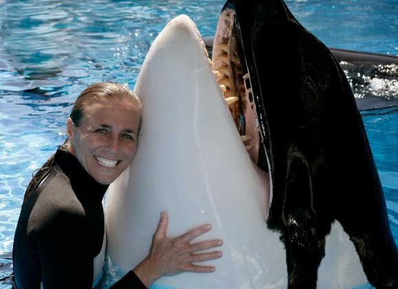 SeaWorld konačno ukida šou sa kitovima ubicama