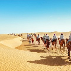 I Thomas Cook ukida letnju ponudu za Tunis