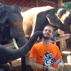 10 Chiang Mai – Slonovi, safari, hram Doi Suthep
