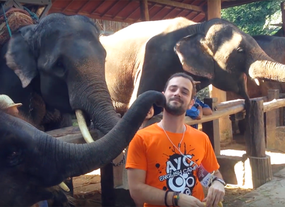 10 Chiang Mai – Slonovi, safari, hram Doi Suthep