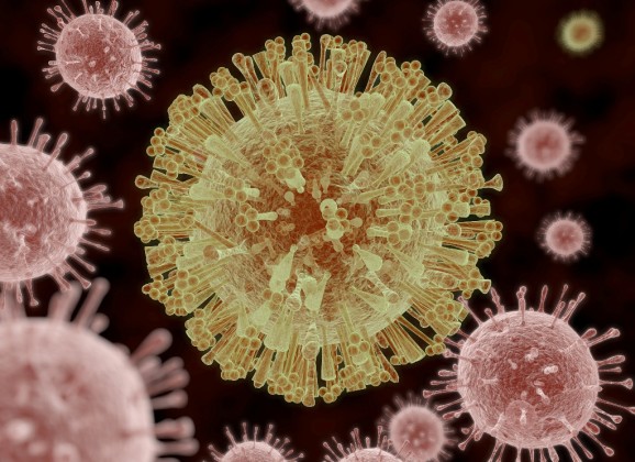 Zika virus: koliko zabrinuti treba da budemo?