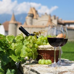 Vino, adut francuskog turizma