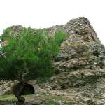 Picture 1001