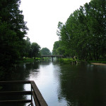 Picture 1016