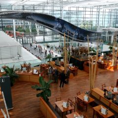 10 najboljih aerodroma u Evropi, II deo