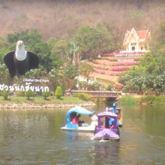 30 Chainat Bird Park