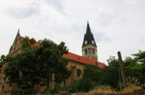 Ilok, Hrvatska
