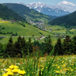 03 Alpi