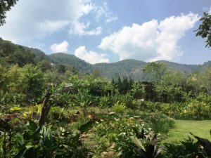 58_Chiang_Mai