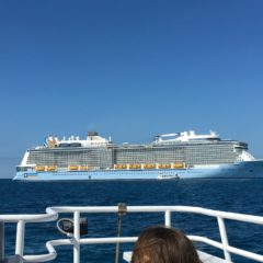 Royal Caribbean na meti kritika zbog uragana