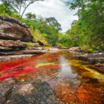 Cristales