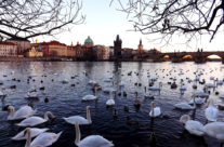 Prag