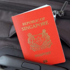 Najmoćniji pasoš na svetu u 2018. godini je…