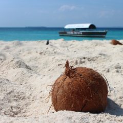 Zanzibar, magija dalekog ostrva