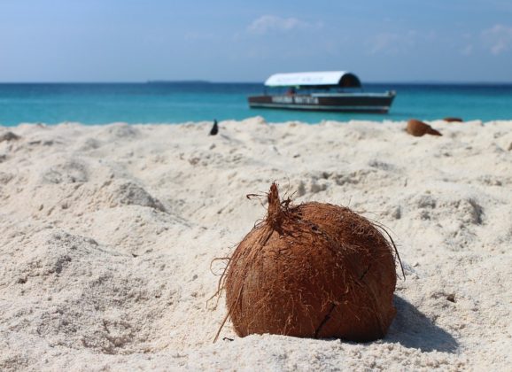 Zanzibar, magija dalekog ostrva