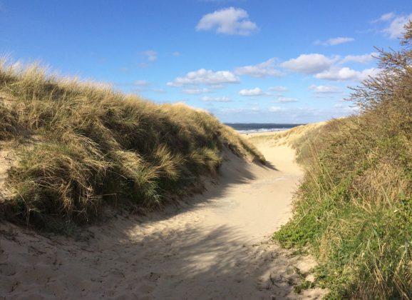 Zeland, Holandija: Zemlja mora
