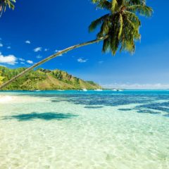 Maui, ostrvo na čijim plažama zimuju kitovi