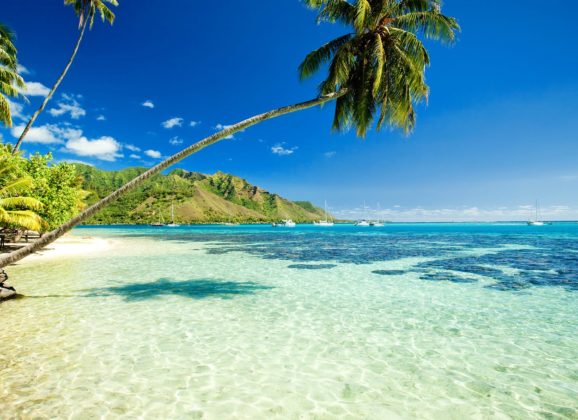 Maui, ostrvo na čijim plažama zimuju kitovi