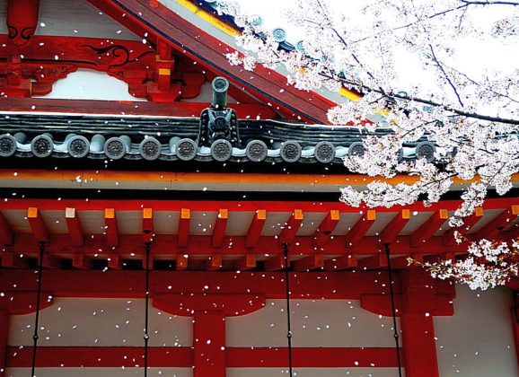 Letovi do Japana uskoro jeftiniji