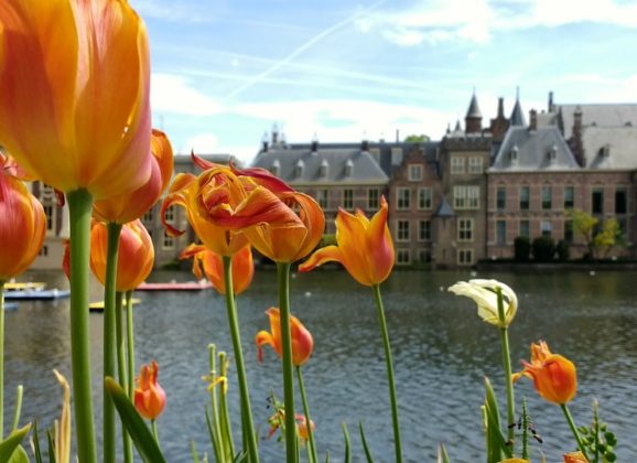 Pet gradova koji su idealna alternativa Amsterdamu
